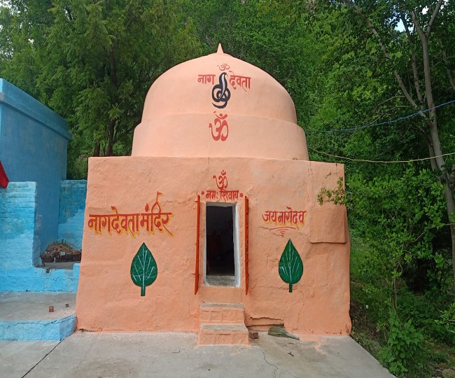 Nag Panchami 2025 Unique Mahoba Celebrations Nag Devta Worship 29 July